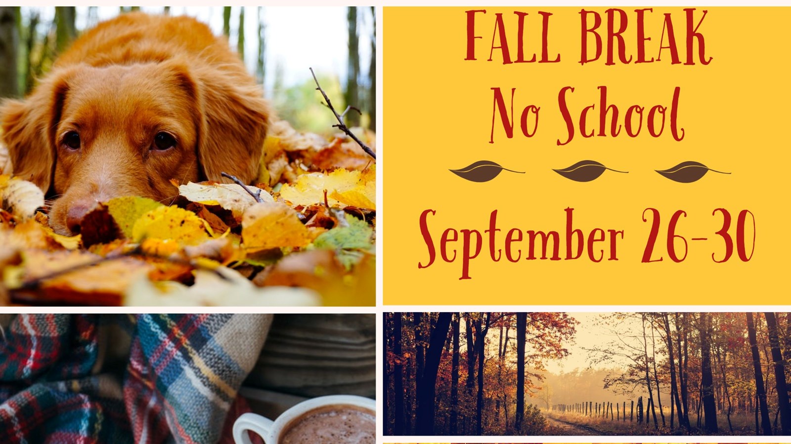 Fall Break Flyer 